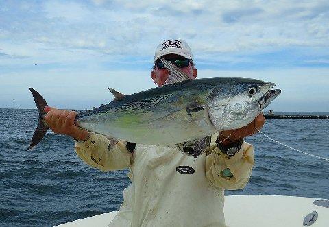 Don Butler releasing 20# Albacore October 29 2014