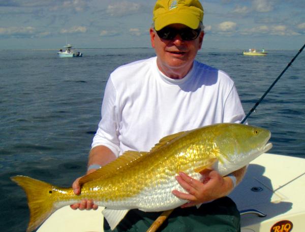 Redfish on Fly, East Side Cape Lookout 