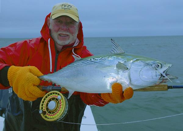 Fly Fishing: False Albacore Retrieves; Part 2 - The Fisherman