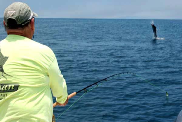 Striped Marlin on Mako Fly Reel