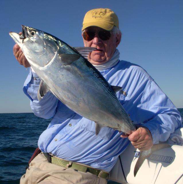 21 pound Albie on fly caught by Tom Merrett