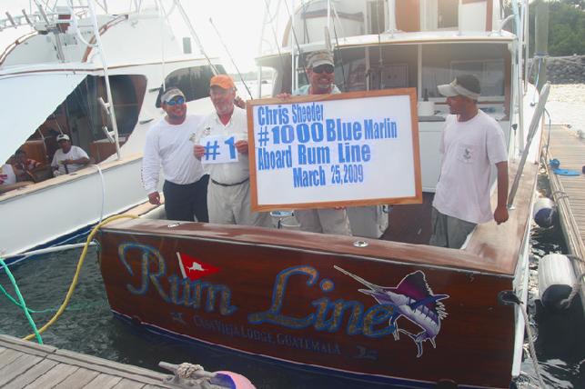 Captain Chris Sheeder celebrates his one thousandth carer Blue Marlin aboard Casa Vieja Lodge vessel "Rum Line" at "The Sailfish School"!