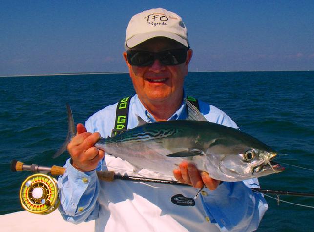 Albie on fly caught aboard "Fly Reel" with captain Jake Jordan, by Buzz Bryson