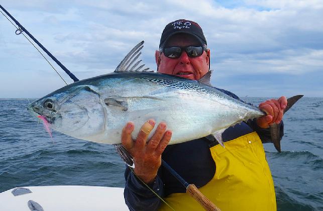 Cape Lookout "Albie" on Fly October 29 2014