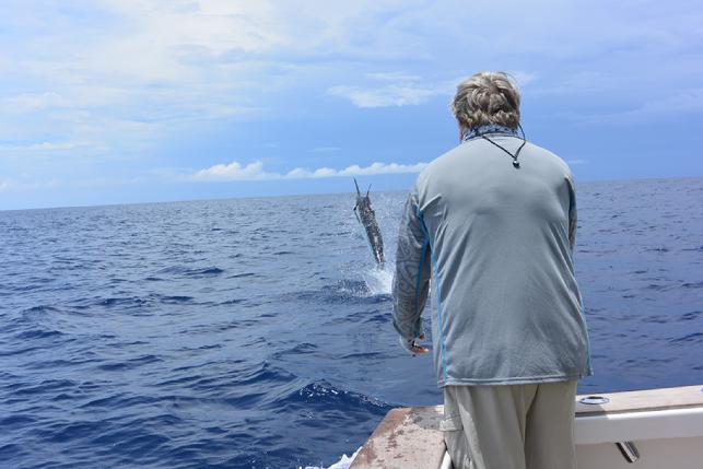 Danny Cline Catching Blue Marlin on fly aboard Dragin Fly, June 2014